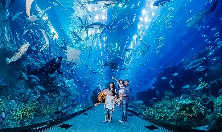 seaworld abu dhabi interior